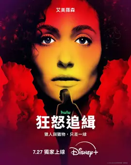 狂怒追缉