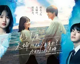 要再做一次夫妇吗?~伪装夫妇~