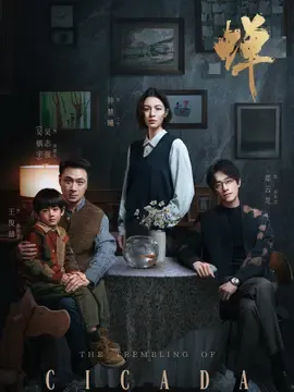 《蝉》第4集剧情：丁宁赴融山调查旧案