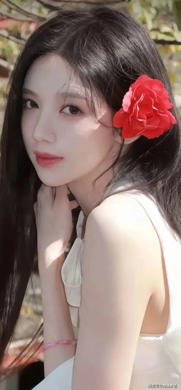 文章配图-3