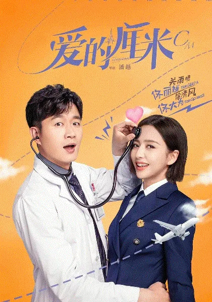 爱的厘米 海报