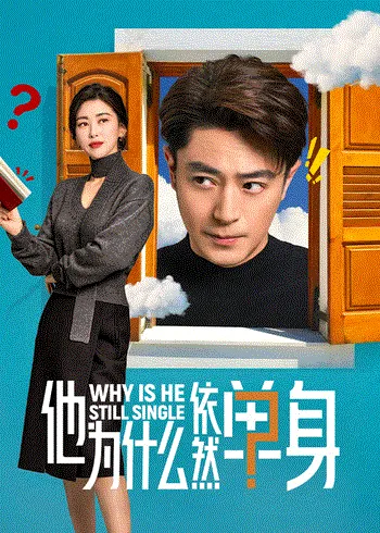 他为什么依然单身 海报