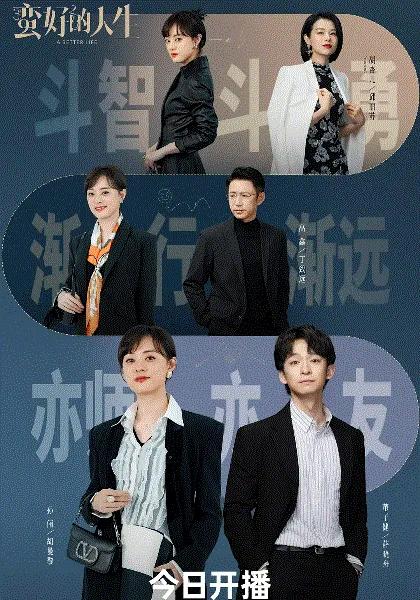 蛮好的人生 海报
