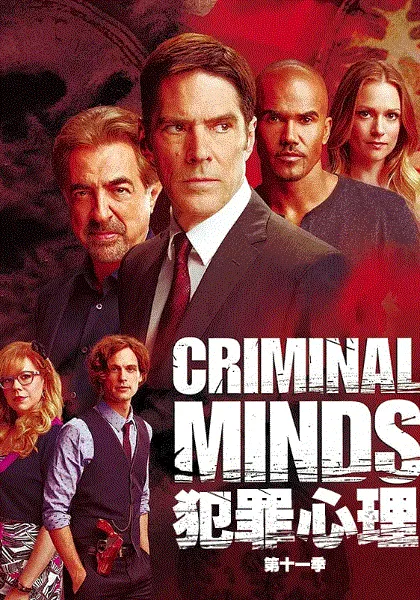 犯罪心理第11季 海报
