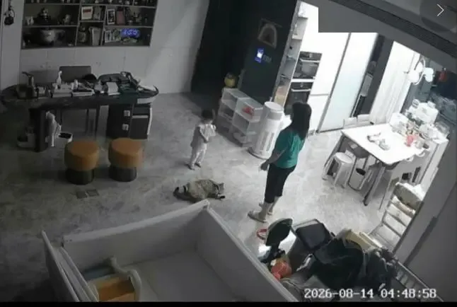 文章配图-4