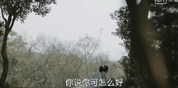 知否知否应是绿肥红瘦第5集剧照