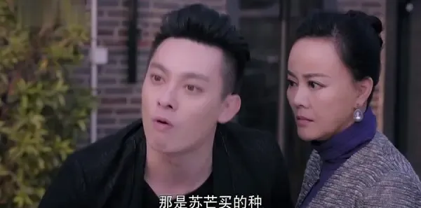 漂洋过海来看你第21集剧照