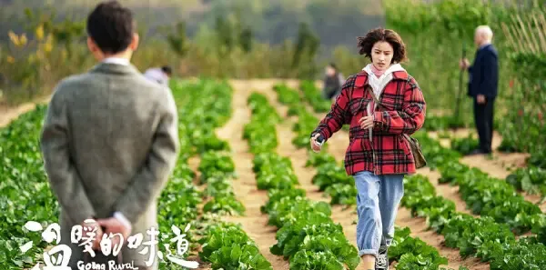 温暖的味道第24集剧照
