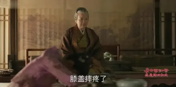 知否知否应是绿肥红瘦第28集剧照