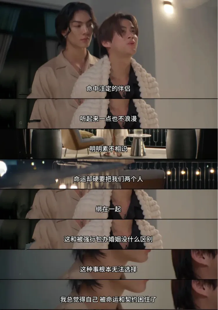 文章配图-3