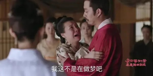 知否知否应是绿肥红瘦第13集剧照