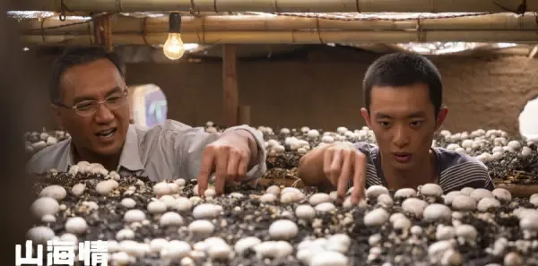 山海情第10集剧照