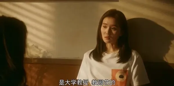 流金岁月第26集剧照