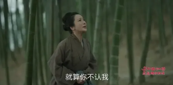 知否知否应是绿肥红瘦第52集剧照