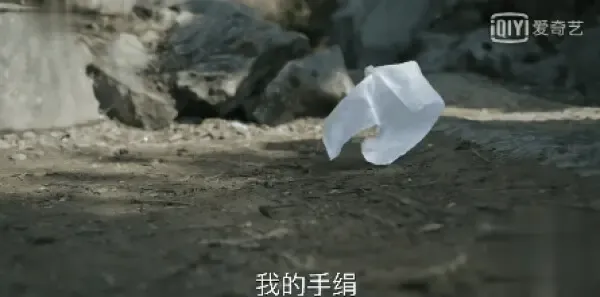 知否知否应是绿肥红瘦第31集剧照