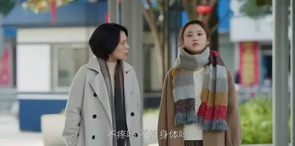 欢乐颂4 第20集:何妈妈送女儿回上海剧照