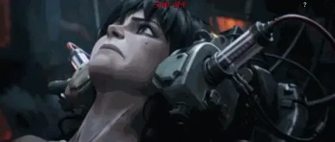 文章配图-4