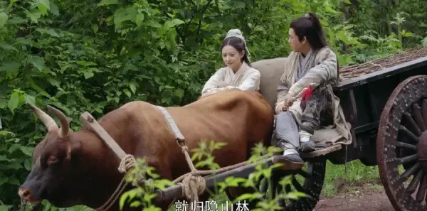 倚天屠龙记第43集剧照