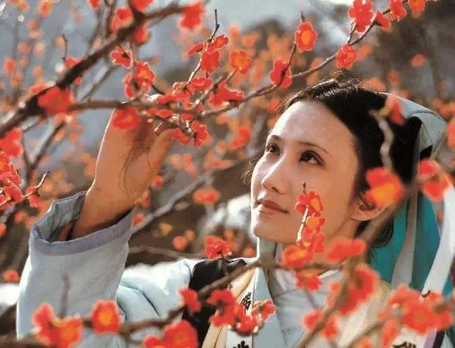 文章配图-5