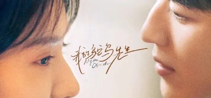 《我的鸵鸟先生》结局：庞倩顾铭夕终获家人认可