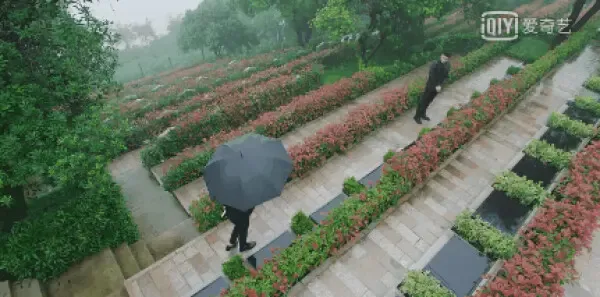 你和我的倾城时光第17集剧照