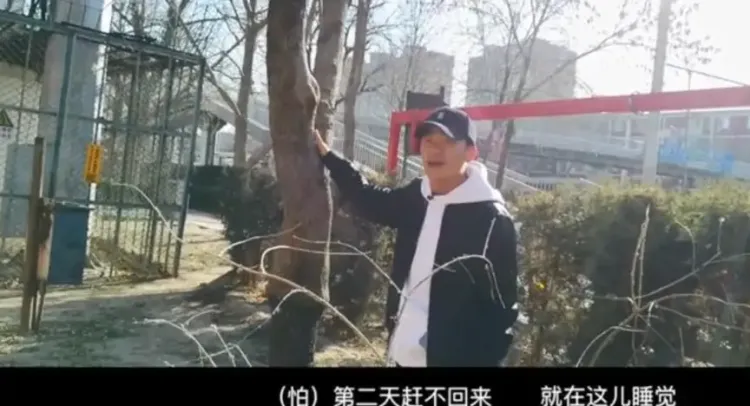 文章配图-18