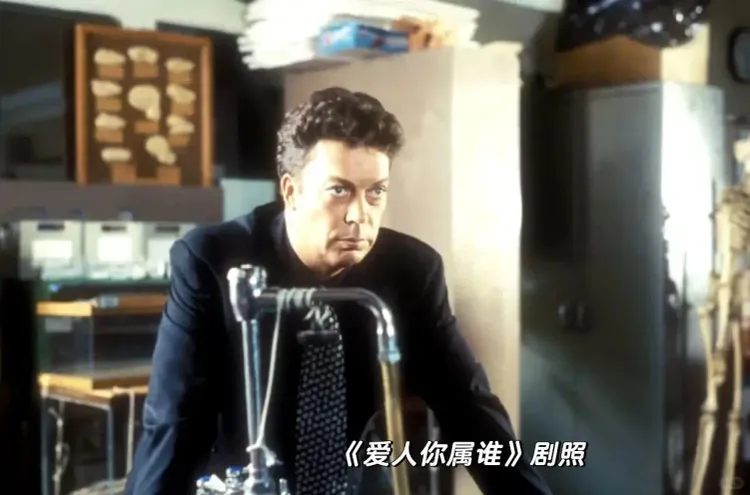 文章配图-9