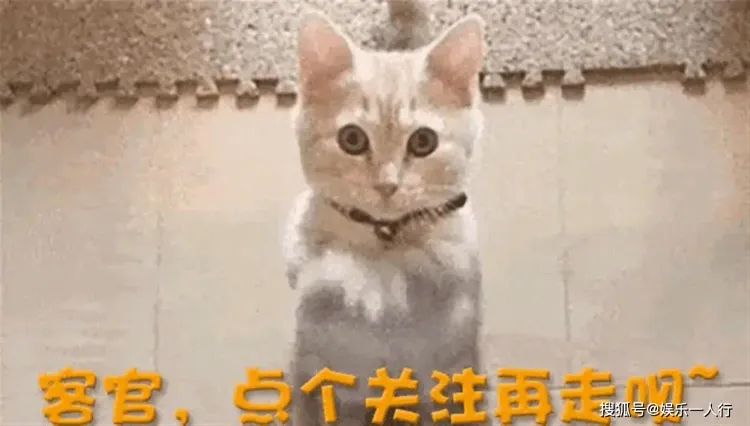 文章配图-18