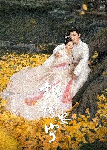 锦绣安宁 海报