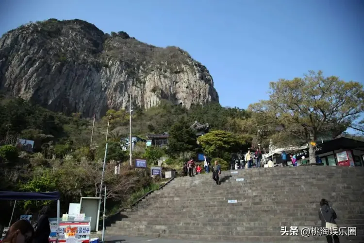 文章配图-5