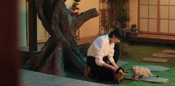 金屋藏夫第3集剧照
