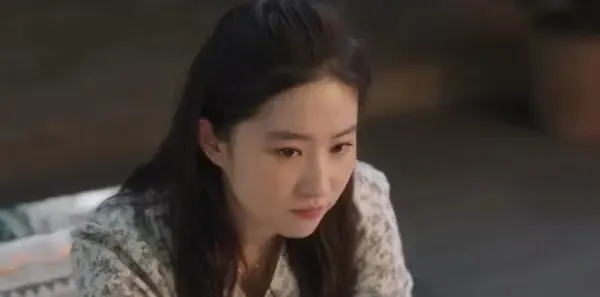 去有风的地方第23集剧照