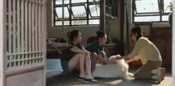 去有风的地方第35集剧照