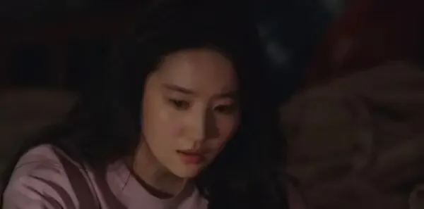 去有风的地方第29集剧照