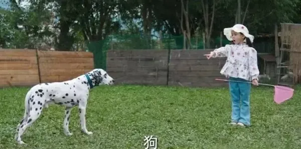 去有风的地方第23集剧照