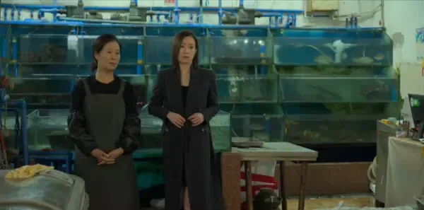 今天的她们第12集剧照