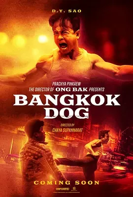 曼谷斗犬