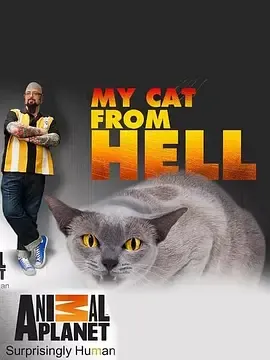 家有恶猫第7季