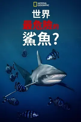 世上最危险的鲨鱼
