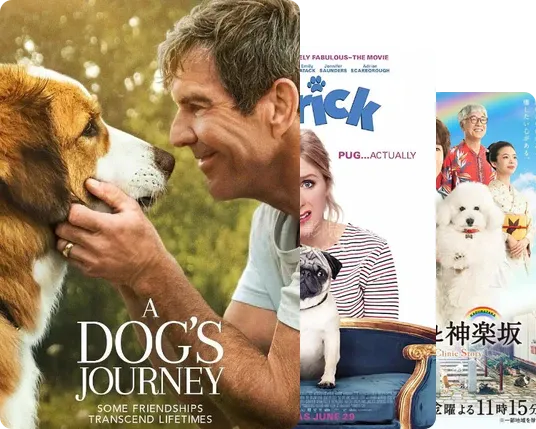 全宇宙最全汪片