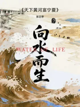 天下黄河富宁夏第4季