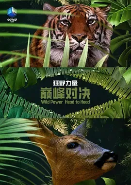 狂野的力量巅峰对决第1季