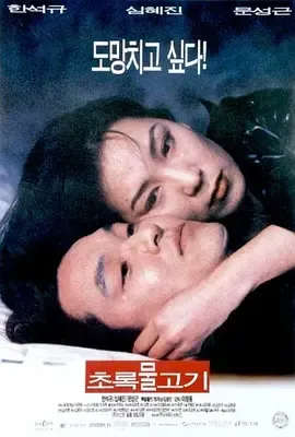 绿鱼1997