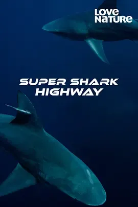 超级鲨鱼高速公路第1季