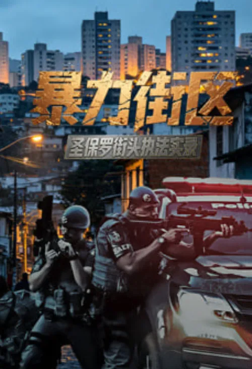 暴力街区圣保罗街头执法实录