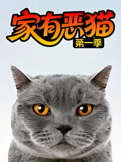 家有恶猫第1季