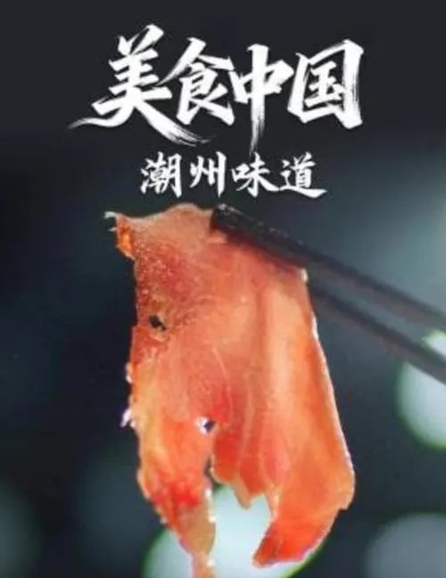 美食中国潮州味道