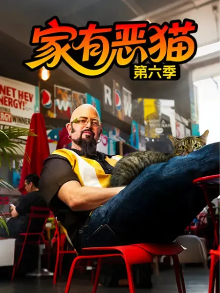 家有恶猫第6季