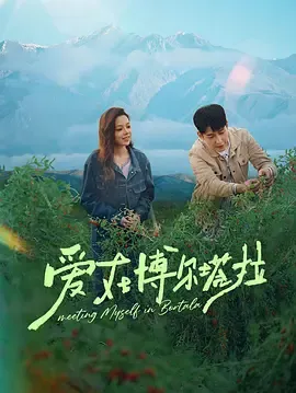 爱在博尔塔拉