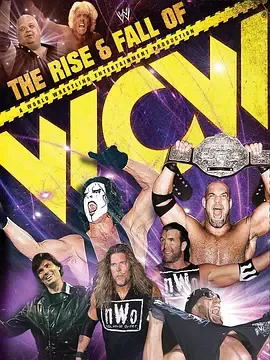 WCW沉浮录WWE2009